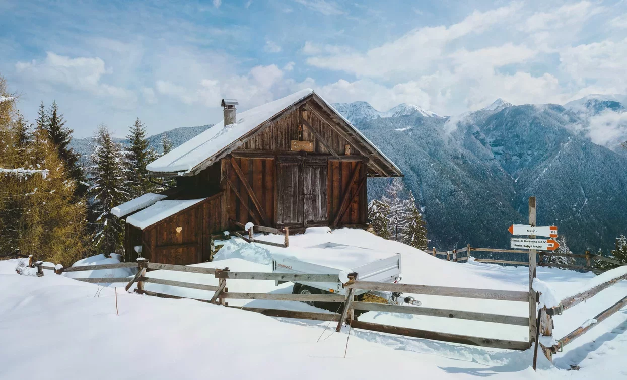 © Nicola Cagol, APT Valli di Sole, Peio e Rabbi