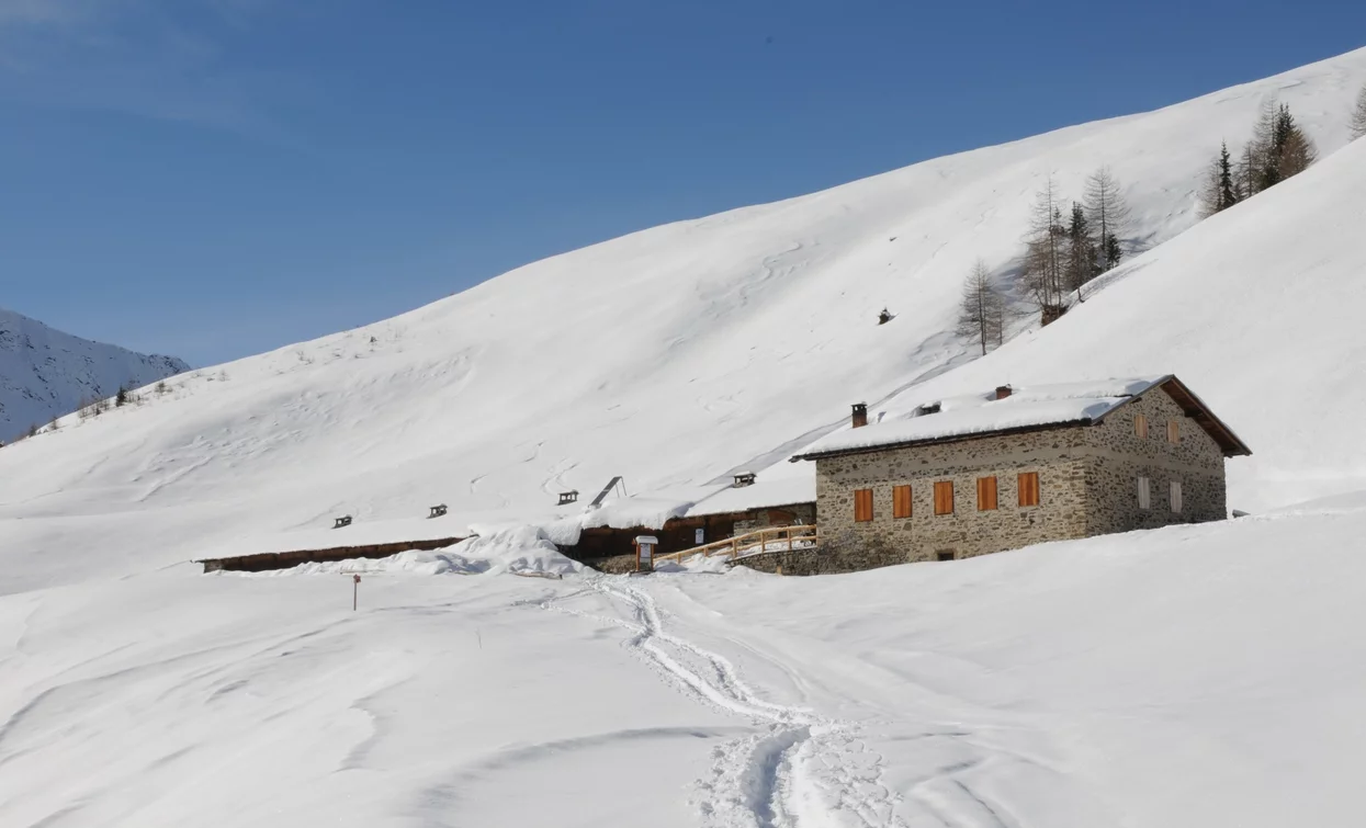 Malga Monte Sole | © T. Mochen, APT Valli di Sole, Peio e Rabbi