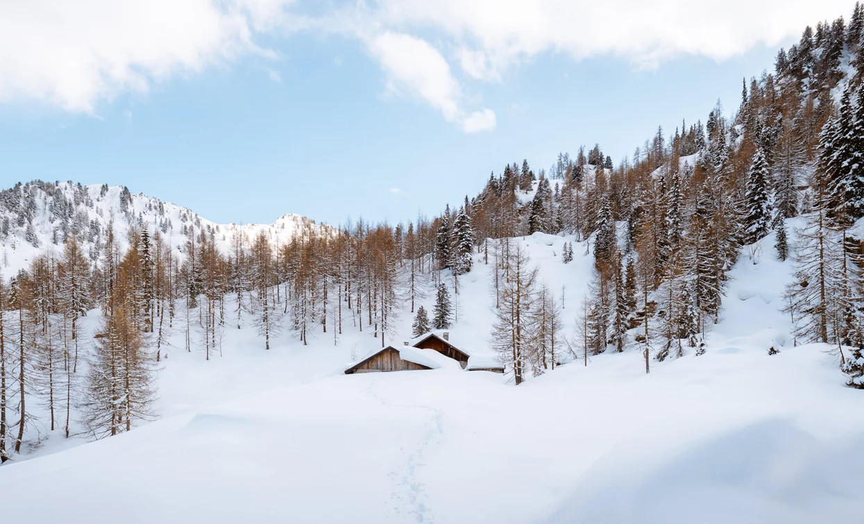 Malghetto di Mezzana | © Nicola Cagol, APT - Valli di Sole, Peio e Rabbi
