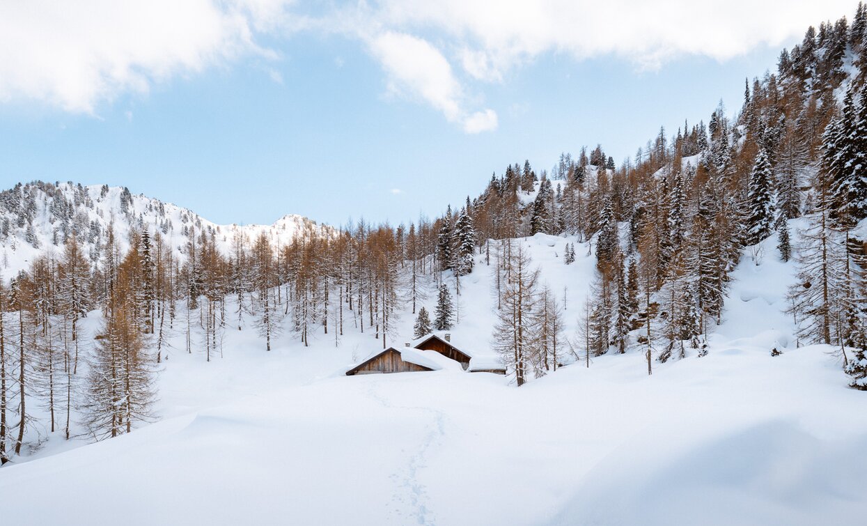 Malghetto di Mezzana | © Nicola Cagol, APT - Valli di Sole, Peio e Rabbi