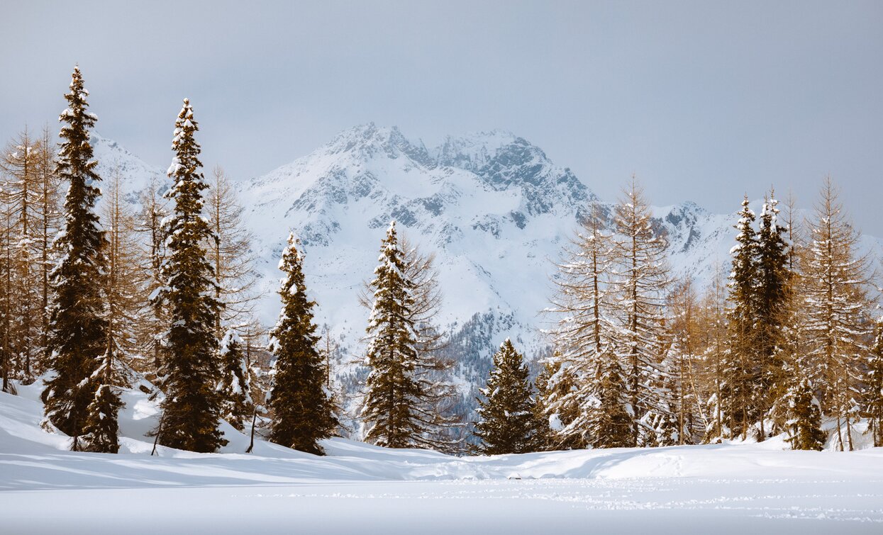 View from the Ponds | © Nicola Cagol, APT Valli di Sole, Peio e Rabbi