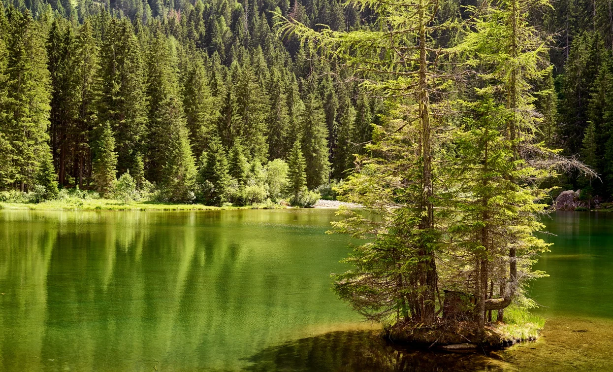 Lago dei Caprioli | © Carlo Baroni, APT - Valli di Sole, Peio e Rabbi