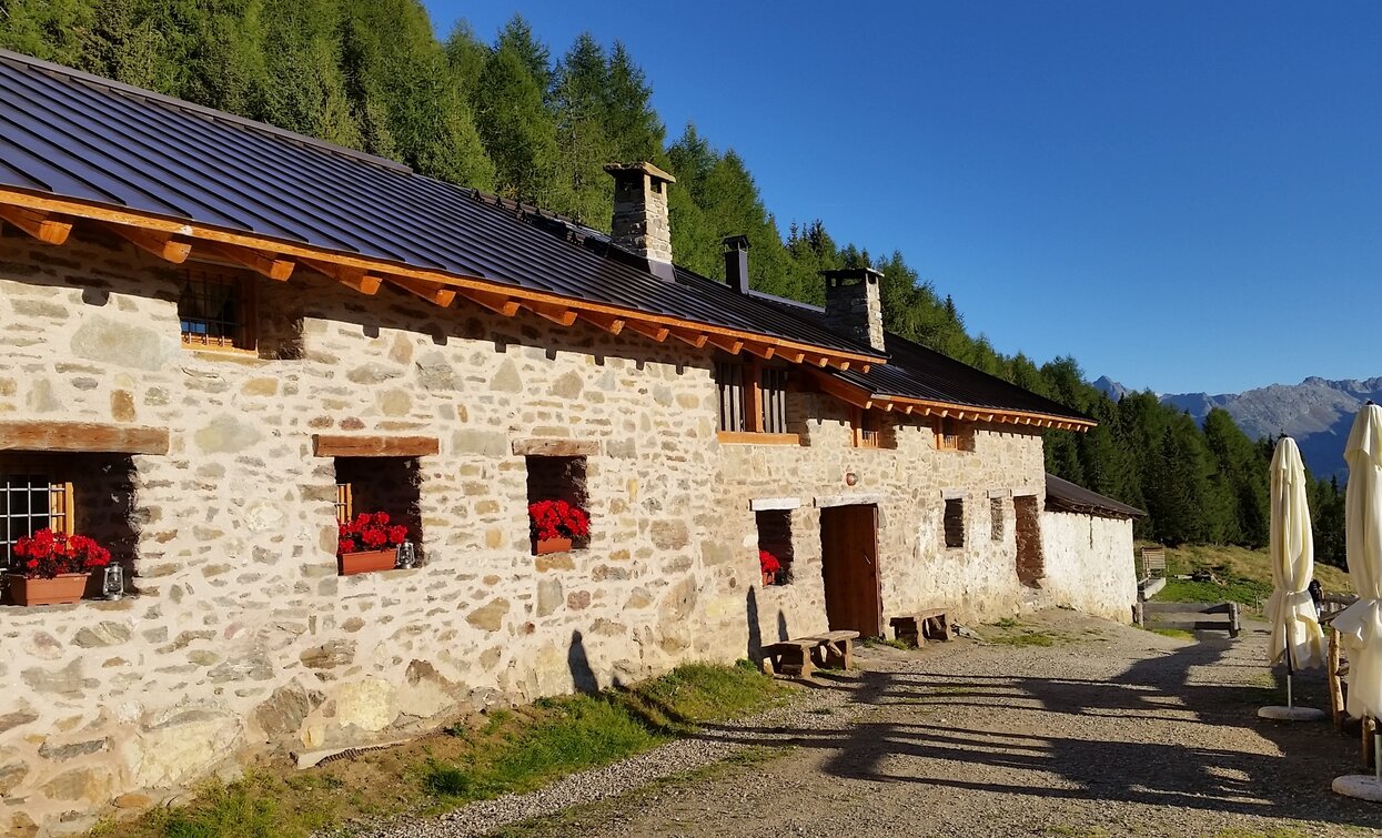 Malga Campo | © Azienda Turismo Val di Sole, APT Valli di Sole, Peio e Rabbi