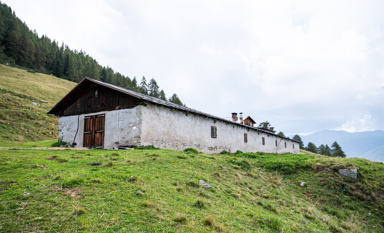 Malga di Bolentina | © Giacomo Podetti, APT Valli di Sole, Peio e Rabbi