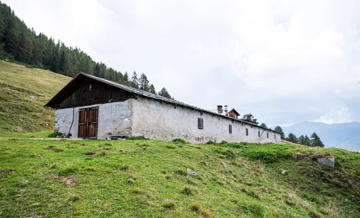 Malga di Bolentina | © Giacomo Podetti, APT Valli di Sole, Peio e Rabbi