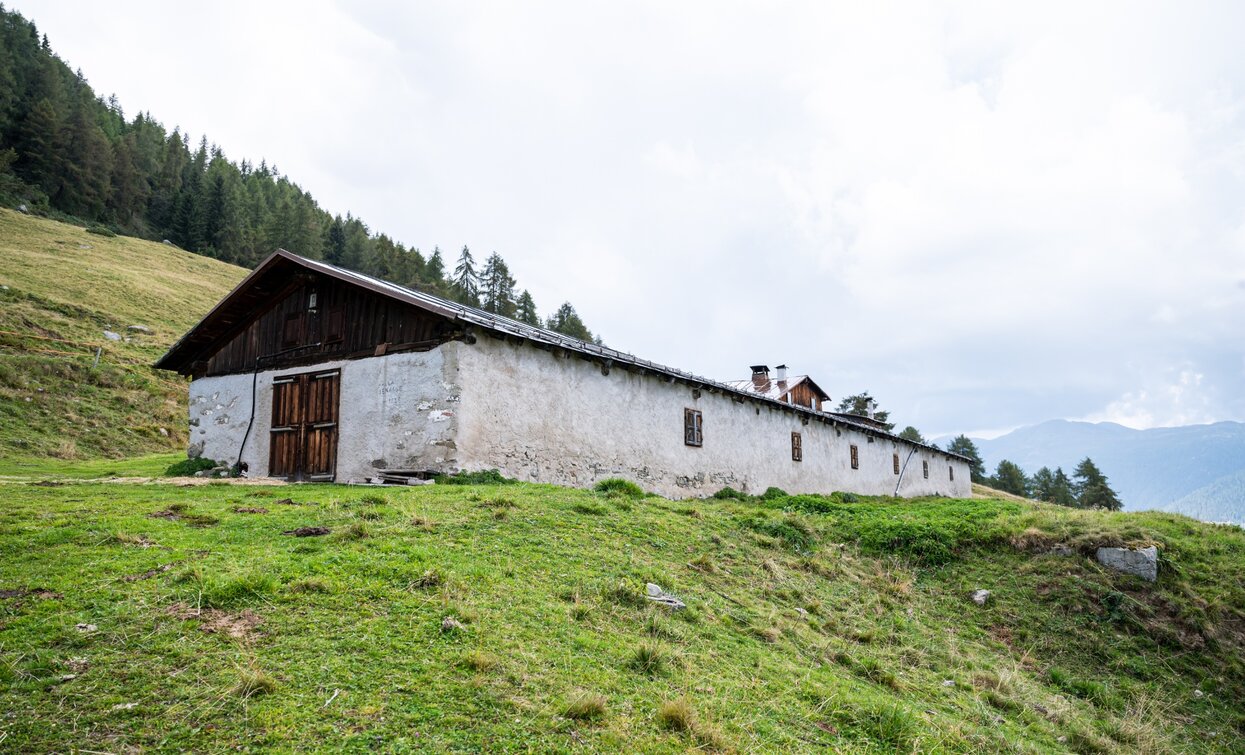 Malga di Bolentina | © Giacomo Podetti, APT Valli di Sole, Peio e Rabbi