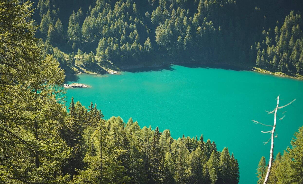 Lago Pian Palù | © Storytraveler, APT Valli di Sole, Peio e Rabbi