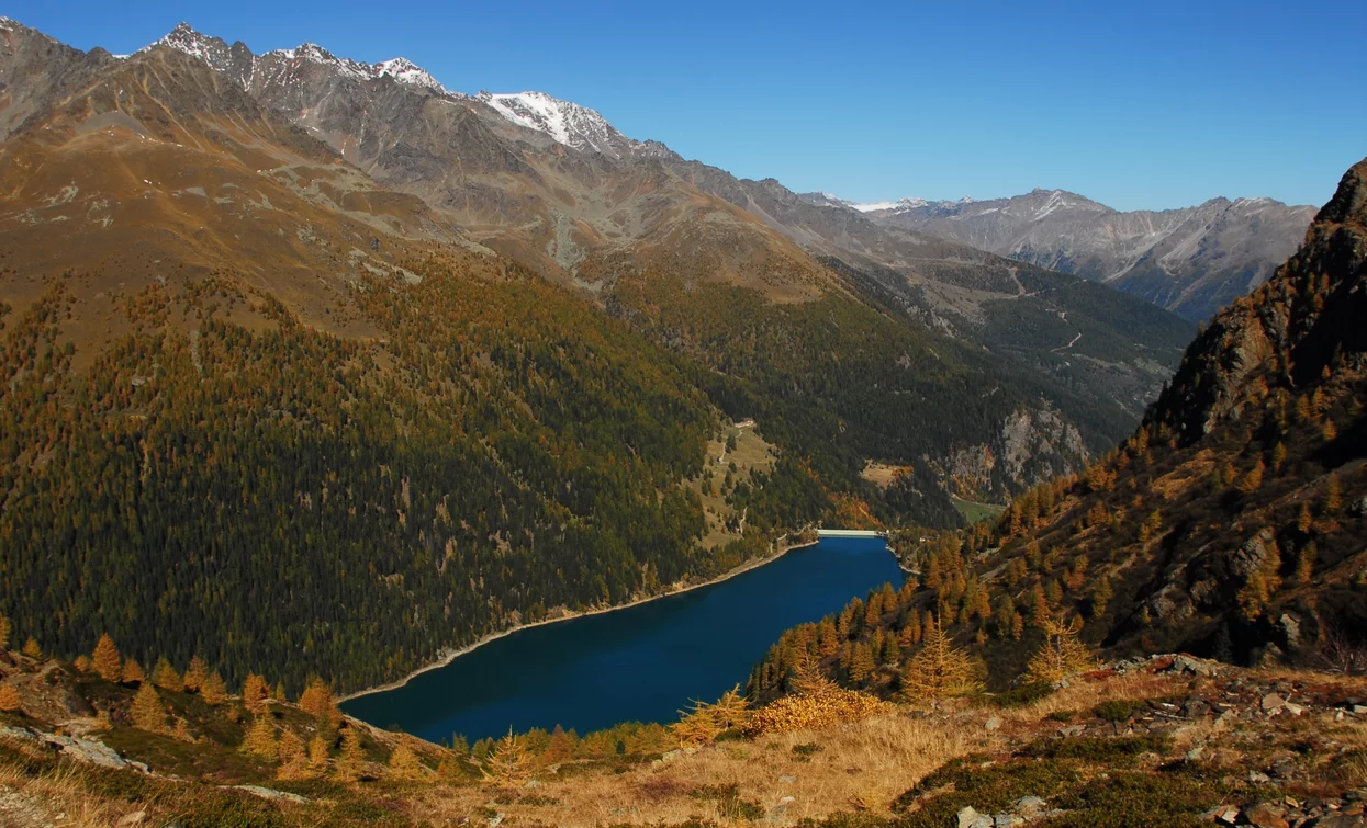Lake Pian Palù | © T. Mochen, APT Valli di Sole, Peio e Rabbi