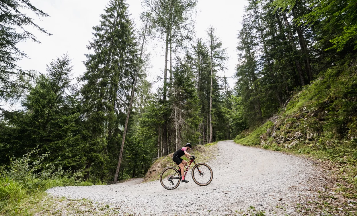 Among the hairpin bends, climbing along the Val Meledrio | © Foto Giacomo Podetti, APT Valli di Sole, Peio e Rabbi