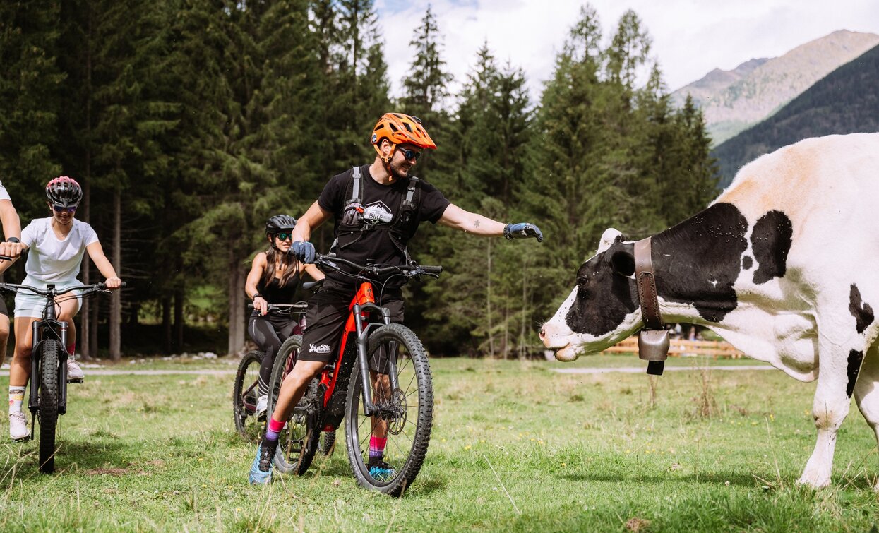 Meeting friends, in Valpiana | © Foto Giacomo Podetti, APT Valli di Sole, Peio e Rabbi