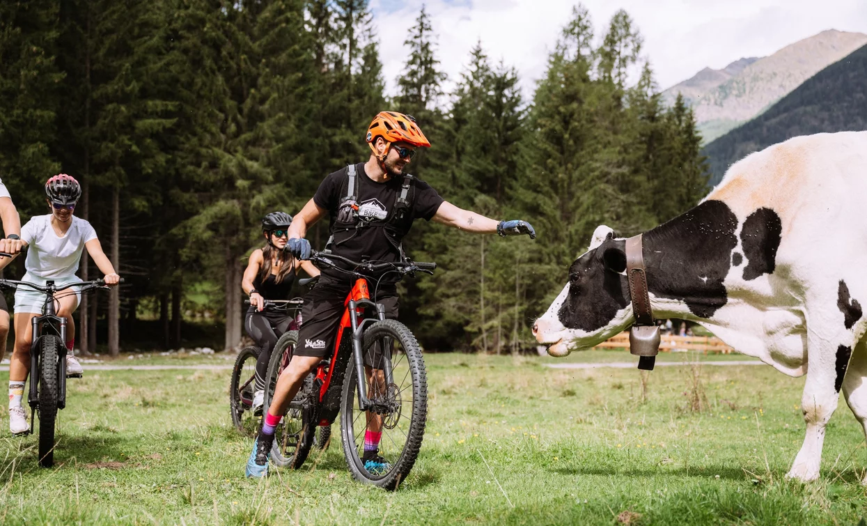 Incontrando amici, in Valpiana | © Foto Giacomo Podetti, APT Valli di Sole, Peio e Rabbi