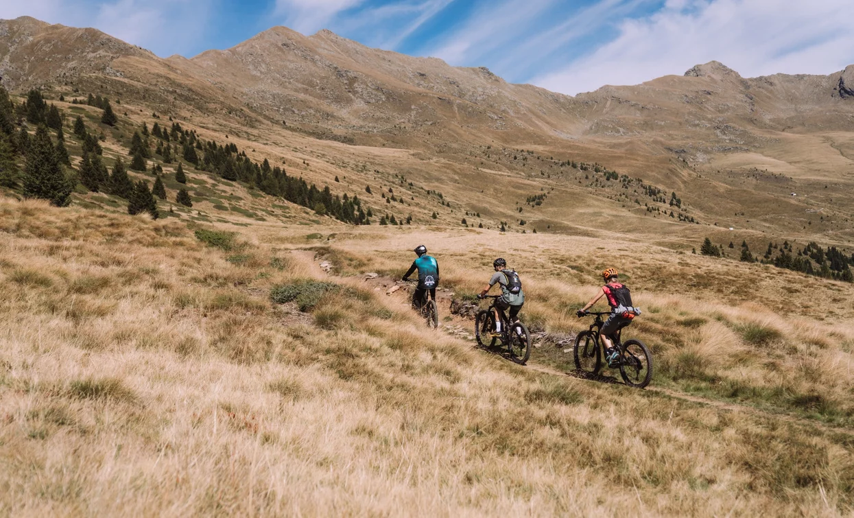 Tra i pascoli di Malga Pozze | © Foto Alice Russolo, APT Valli di Sole, Peio e Rabbi