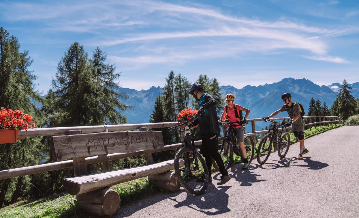 Il panorama che arriva fino al gruppo montuoso dell'Adamello-Presanella | © Foto Alice Russolo, APT Valli di Sole, Peio e Rabbi