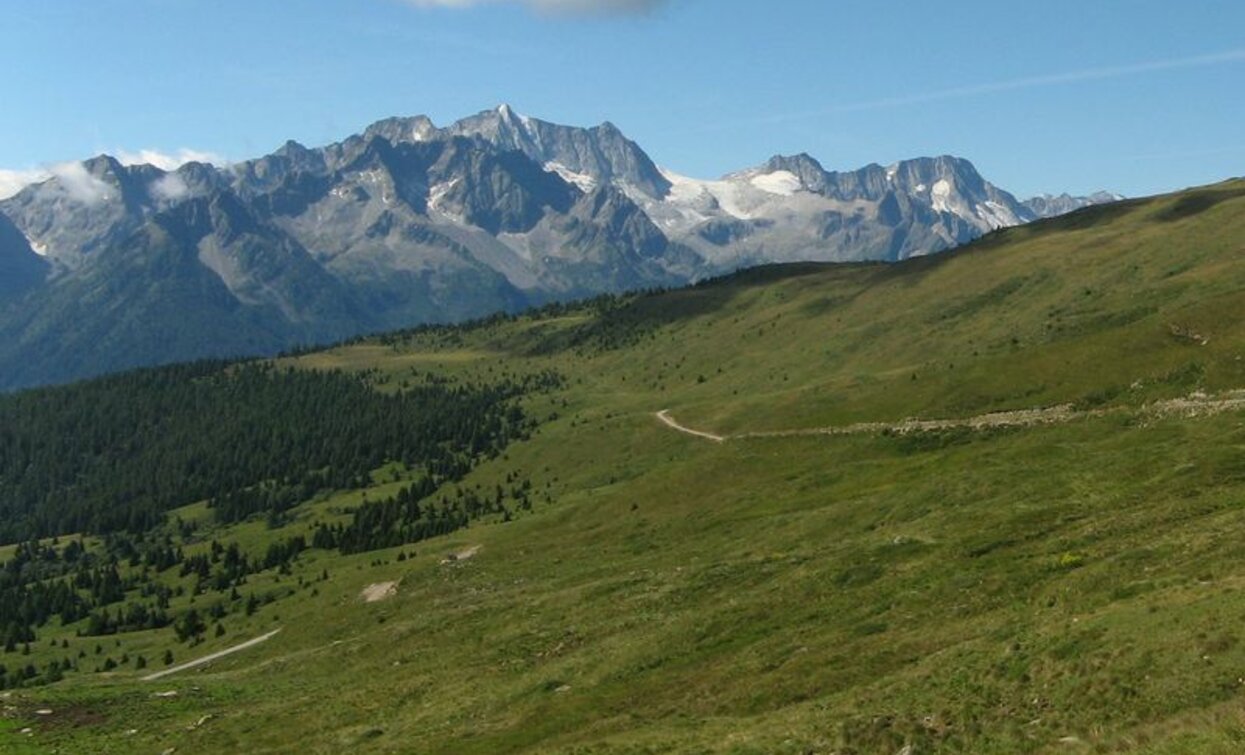 © VisitTrentino, APT - Valli di Sole, Peio e Rabbi