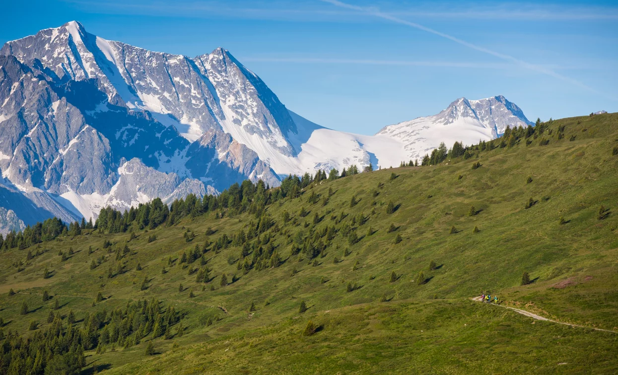 The view of the Presanella from the trail | © Foto Matteo Cappè , APT Valli di Sole, Peio e Rabbi