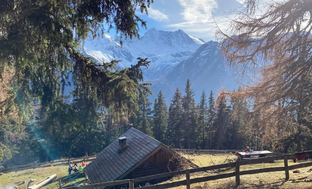 Bait del Vedeler | © Azienda Turismo Val di Sole, APT Valli di Sole, Peio e Rabbi
