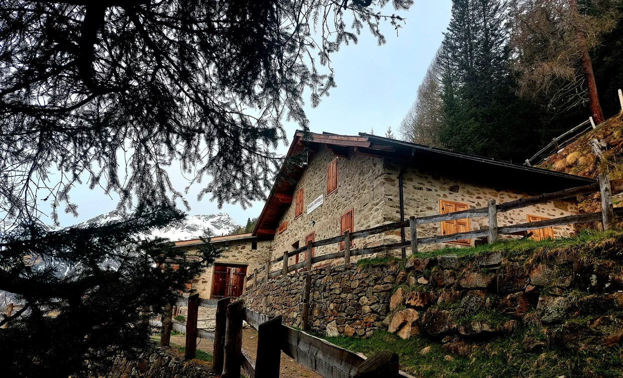 Malga Giumella | © Azienda Turismo Val di Sole, APT - Valli di Sole, Peio e Rabbi