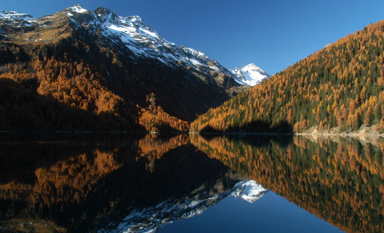 Lago Pian Palù | © T. Mochen, APT - Valli di Sole, Peio e Rabbi