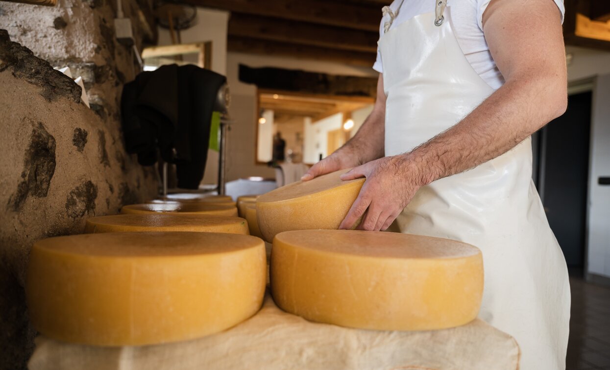 the tasty cheeses from Malga Campo | © Giacomo Podetti, APT Valli di Sole, Peio e Rabbi