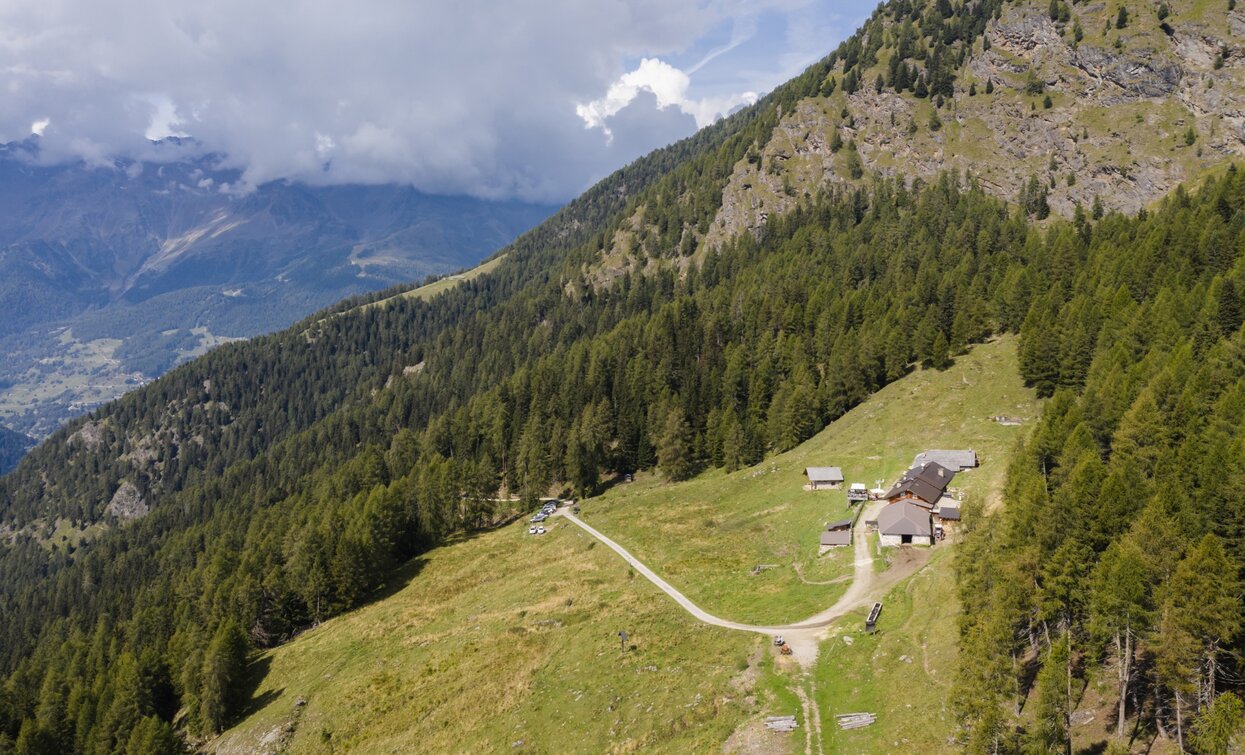 Malga Campo | © Giacomo Podetti, APT - Valli di Sole, Peio e Rabbi