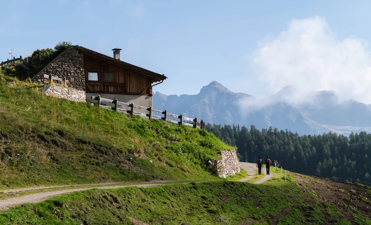 Malga Val Comasine | © Giacomo Podetti, APT Valli di Sole, Peio e Rabbi