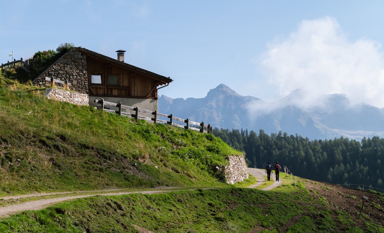 Malga Val Comasine | © Giacomo Podetti, APT - Valli di Sole, Peio e Rabbi