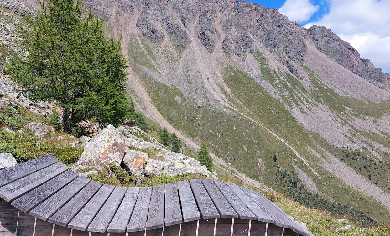 Near La Colem | © Azienda Turismo Val di Sole, APT Valli di Sole, Peio e Rabbi