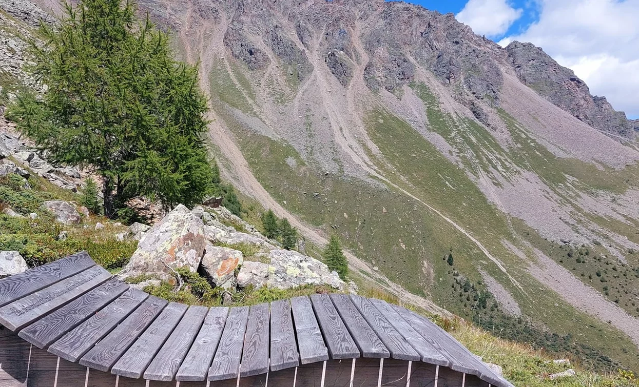 Nei pressi de La Colem | © Azienda Turismo Val di Sole, APT Valli di Sole, Peio e Rabbi