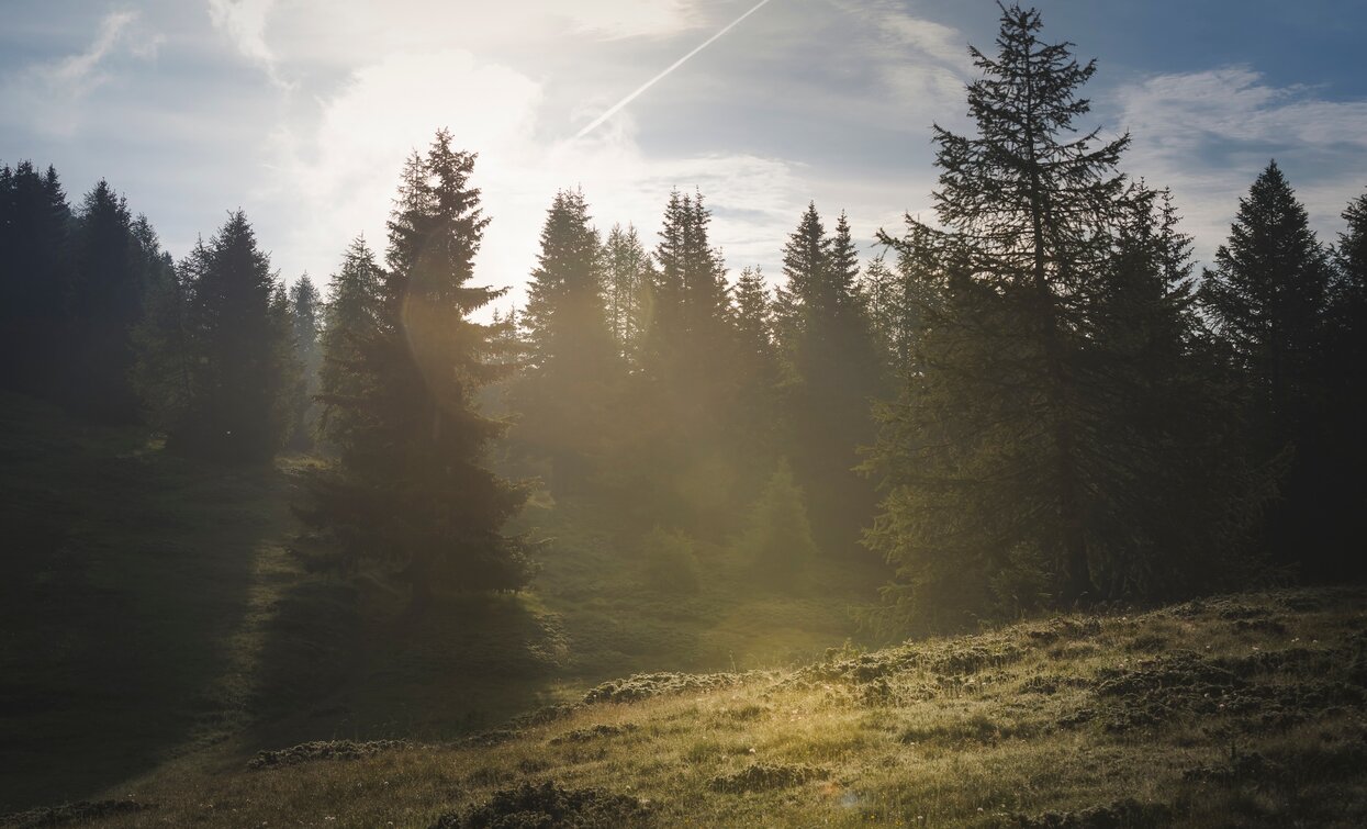 Visual Stories | © Azienda Turismo Val di Sole, APT Valli di Sole, Peio e Rabbi