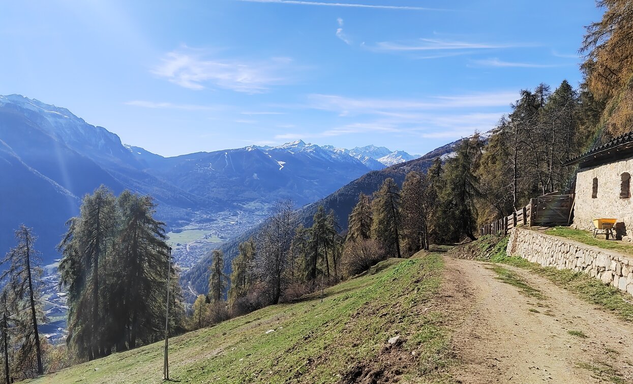 Panorama dal Malghetto di Terzolas | © Azienda Turismo Val di Sole, APT Valli di Sole, Peio e Rabbi