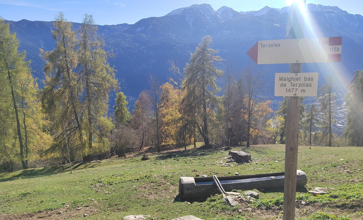 © Azienda Turismo Val di Sole, APT Valli di Sole, Peio e Rabbi