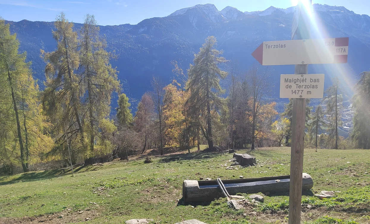 © Azienda Turismo Val di Sole, APT - Valli di Sole, Peio e Rabbi