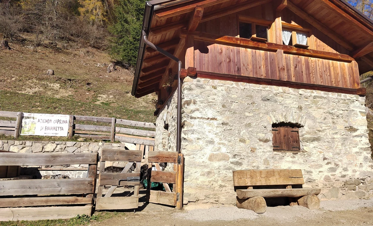 © Azienda Turismo Val di Sole, APT - Valli di Sole, Peio e Rabbi