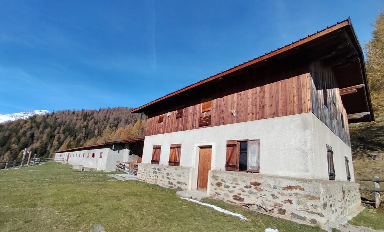 Malga Artisé | © Azienda Turismo Val di Sole, APT Valli di Sole, Peio e Rabbi