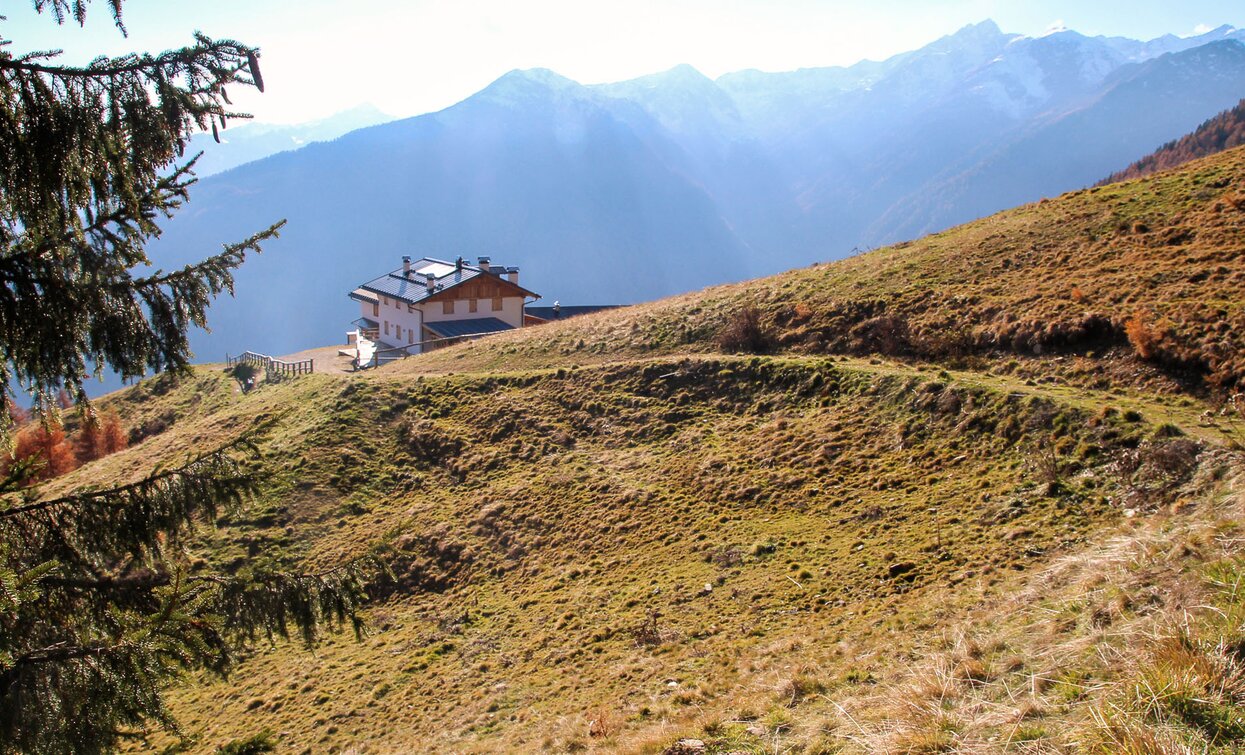 Malga Cortinga | © Azienda Turismo Val di Sole, APT Valli di Sole, Peio e Rabbi