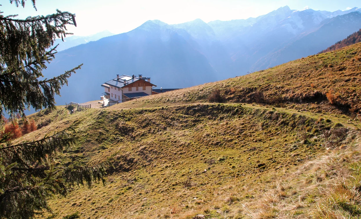 Malga Cortinga | © Azienda Turismo Val di Sole, APT Valli di Sole, Peio e Rabbi