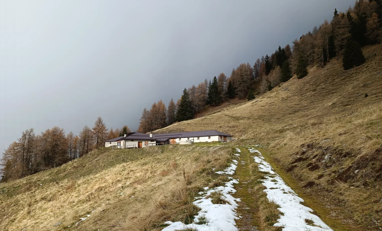 © Azienda Turismo Val di Sole, APT - Valli di Sole, Peio e Rabbi
