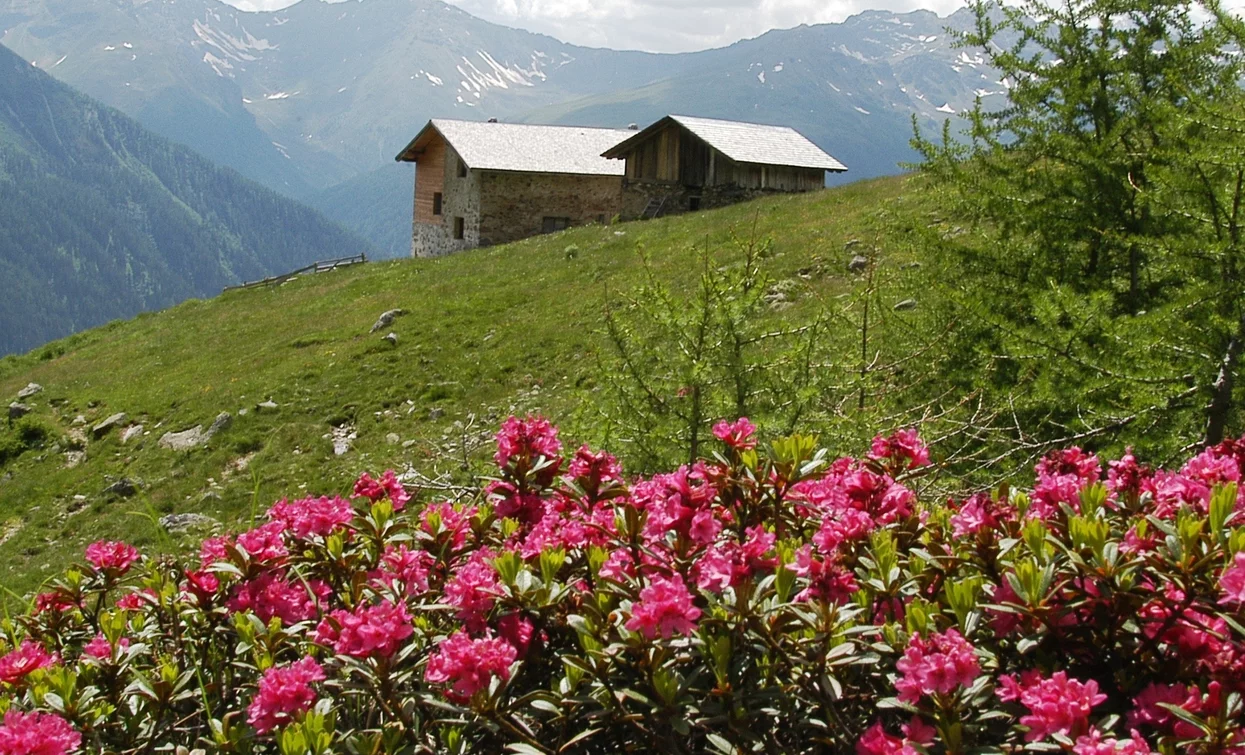 © Azienda Turismo Val di Sole, APT Valli di Sole, Peio e Rabbi