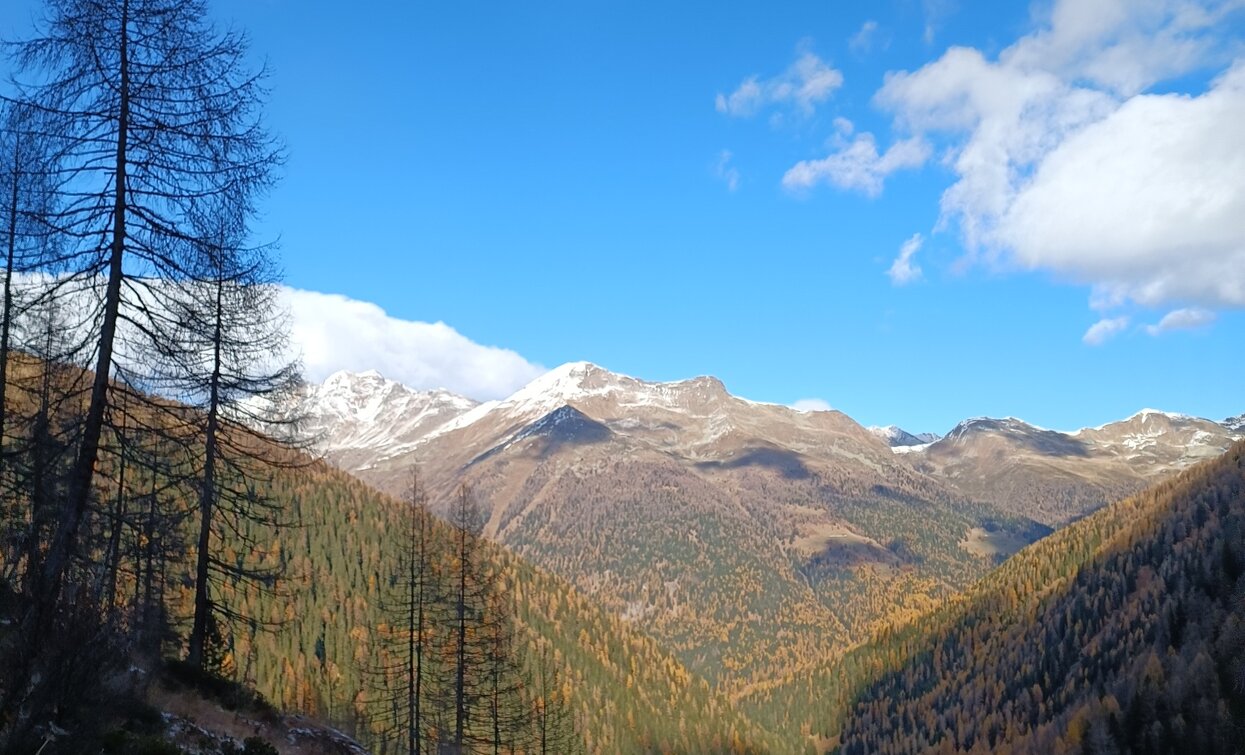 © Azienda Turismo Val di Sole, APT Valli di Sole, Peio e Rabbi