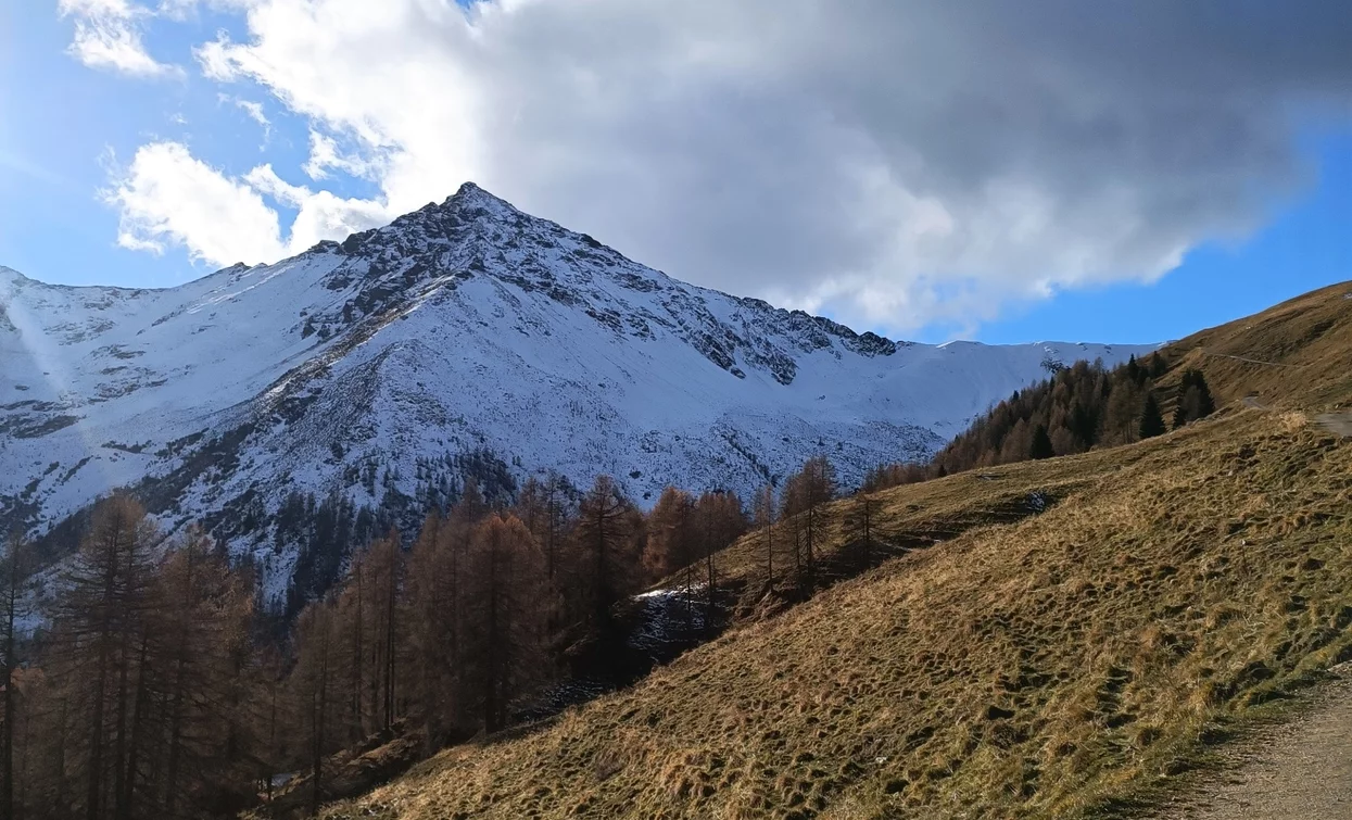 © Azienda Turismo Val di Sole, APT Valli di Sole, Peio e Rabbi
