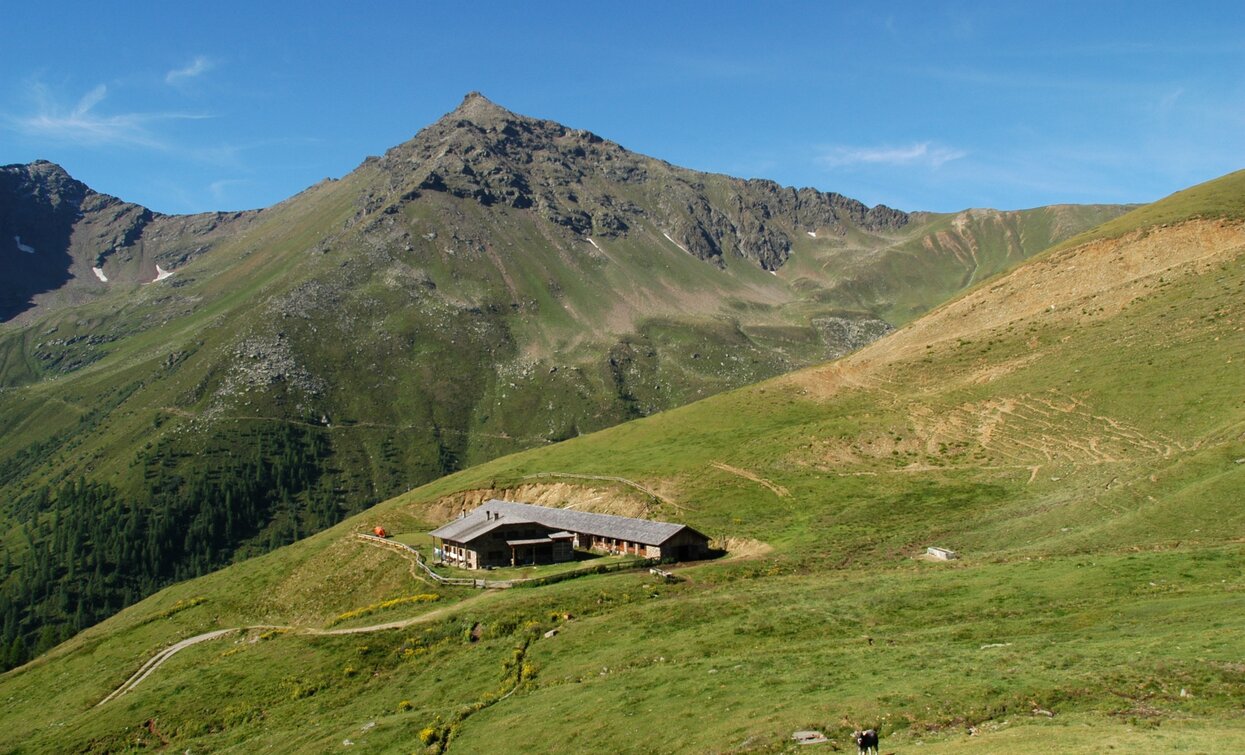 Malga Villar Alta | © Azienda Turismo Val di Sole, APT Valli di Sole, Peio e Rabbi