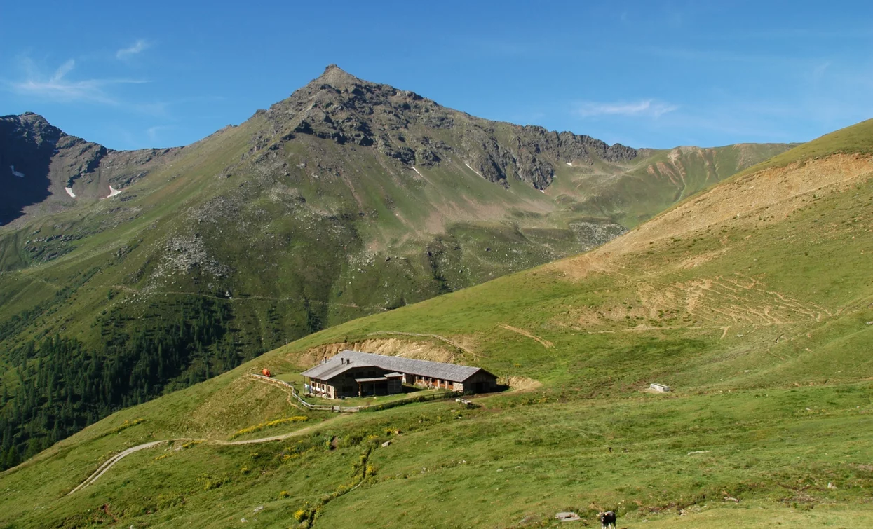 Malga Villar Alta | © Azienda Turismo Val di Sole, APT Valli di Sole, Peio e Rabbi