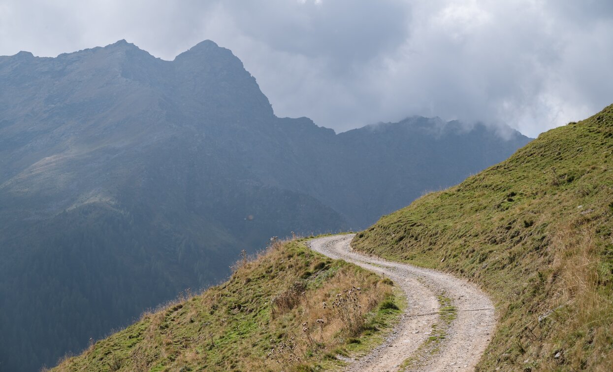 Road leading to Malga Monte Sole | © Giacomo Podetti, APT Valli di Sole, Peio e Rabbi
