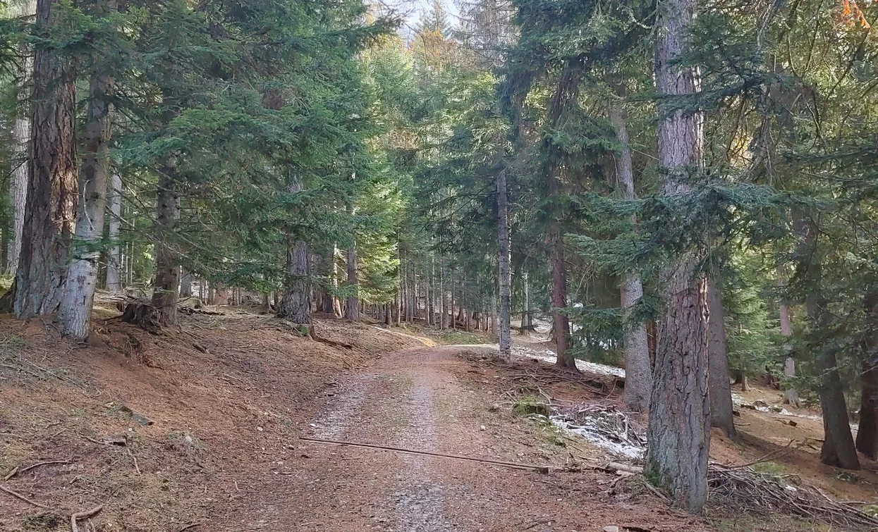© Azienda Turismo Val di Sole, APT - Valli di Sole, Peio e Rabbi