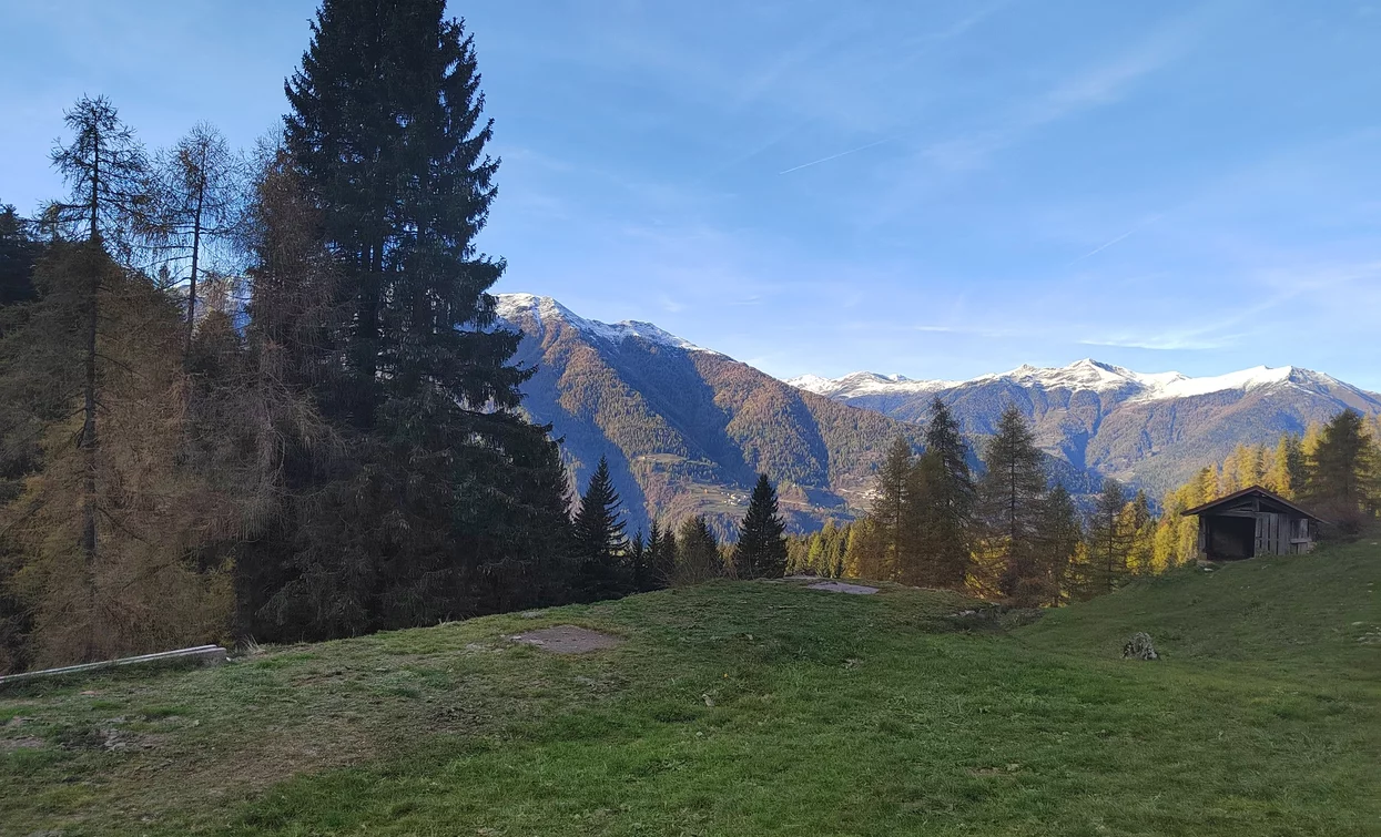 Panorama da Malga Sadron | © Azienda Turismo Val di Sole, APT Valli di Sole, Peio e Rabbi