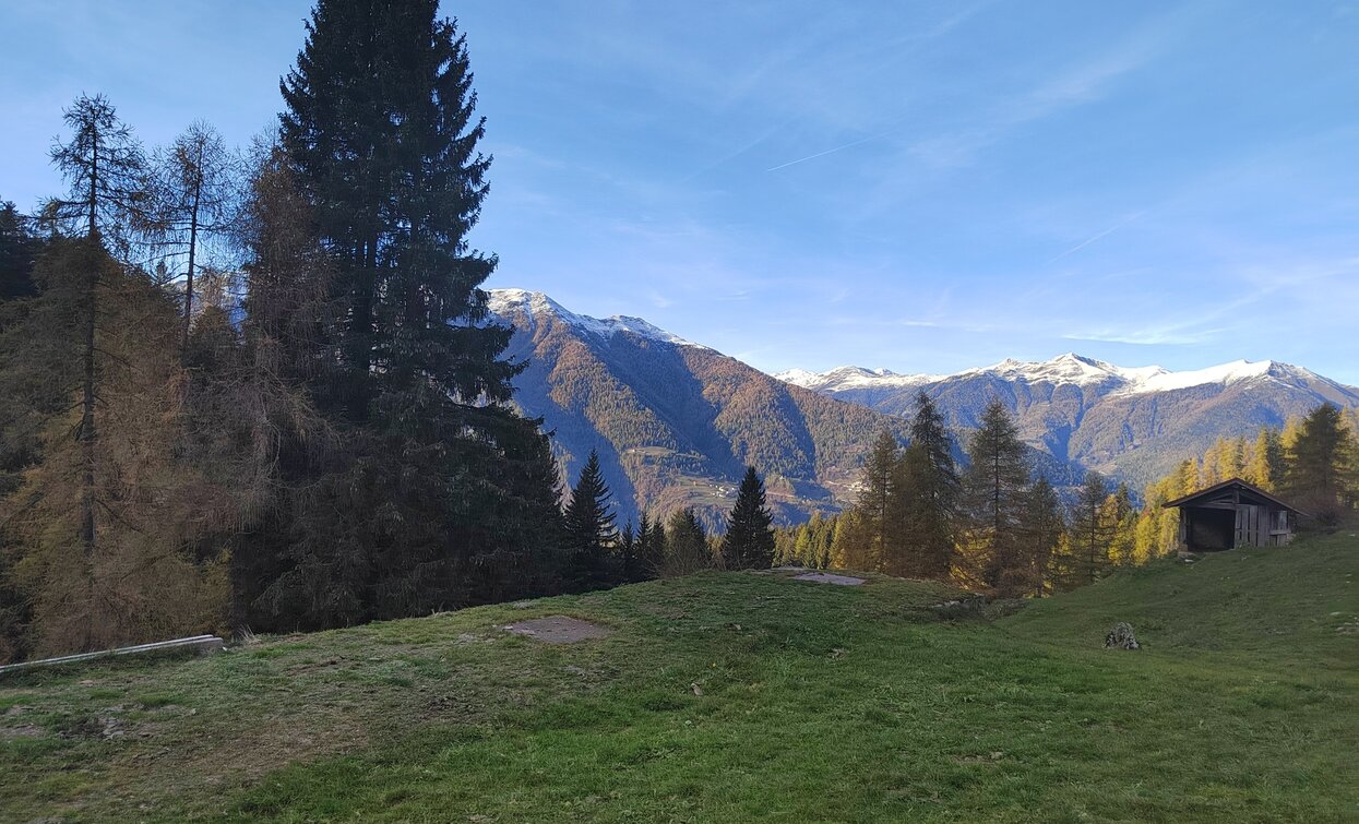 Panorama von Malga Sadron | © Azienda Turismo Val di Sole, APT - Valli di Sole, Peio e Rabbi