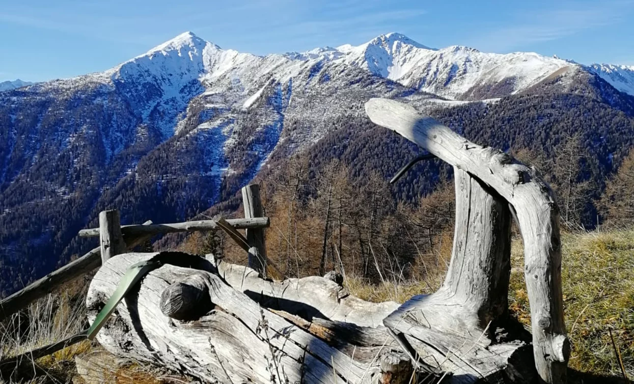 © Azienda Turismo Val di Sole, APT Valli di Sole, Peio e Rabbi