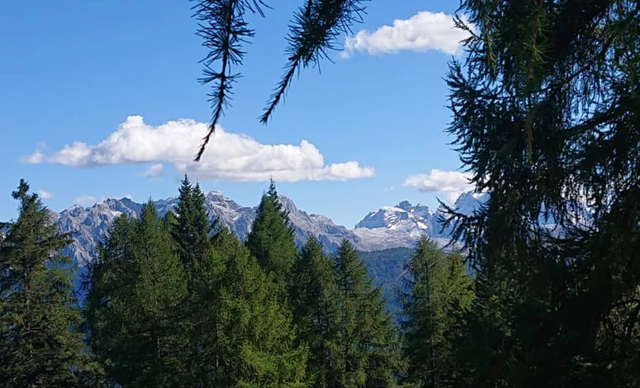 © Azienda Turismo Val di Sole, APT Valli di Sole, Peio e Rabbi