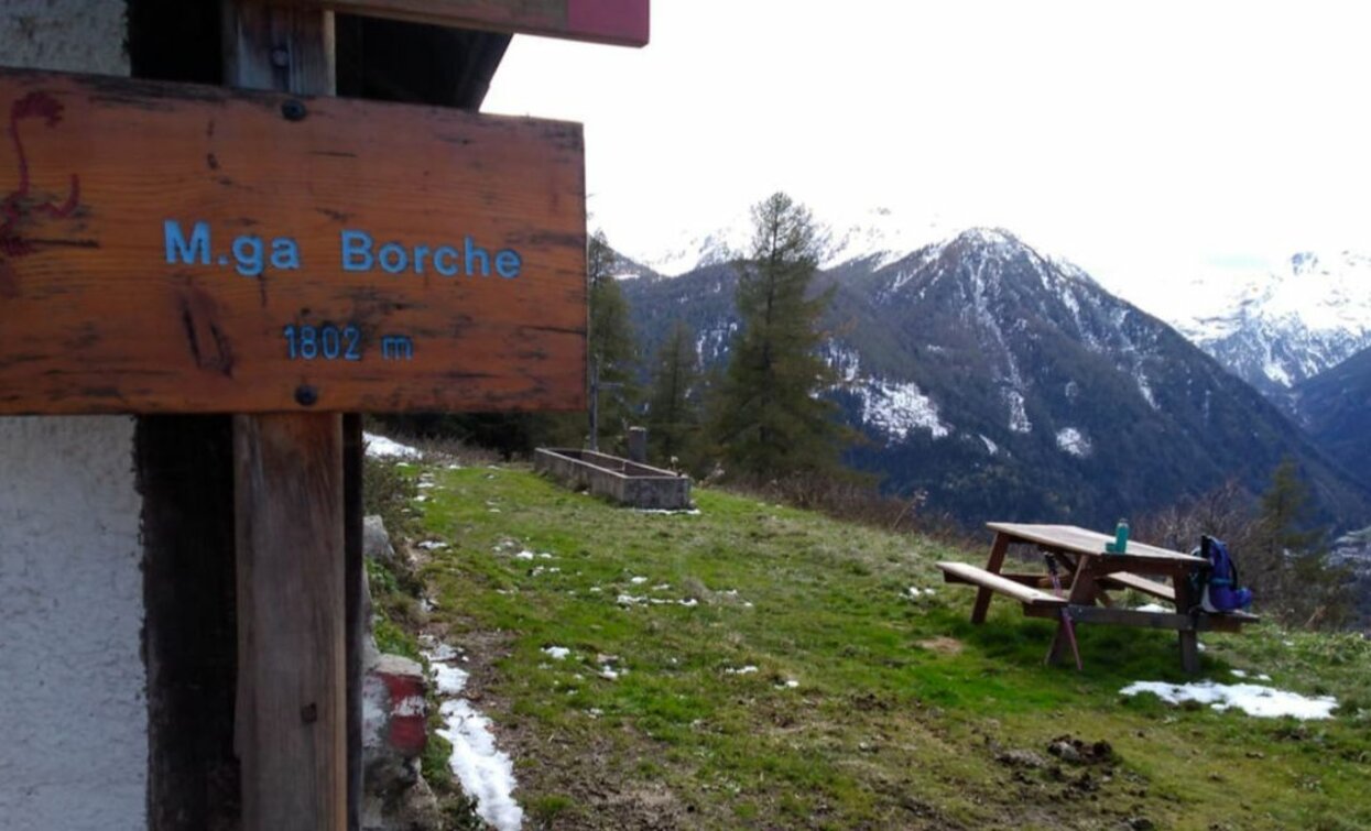 Malga Borche | © Azienda Turismo Val di Sole, APT Valli di Sole, Peio e Rabbi
