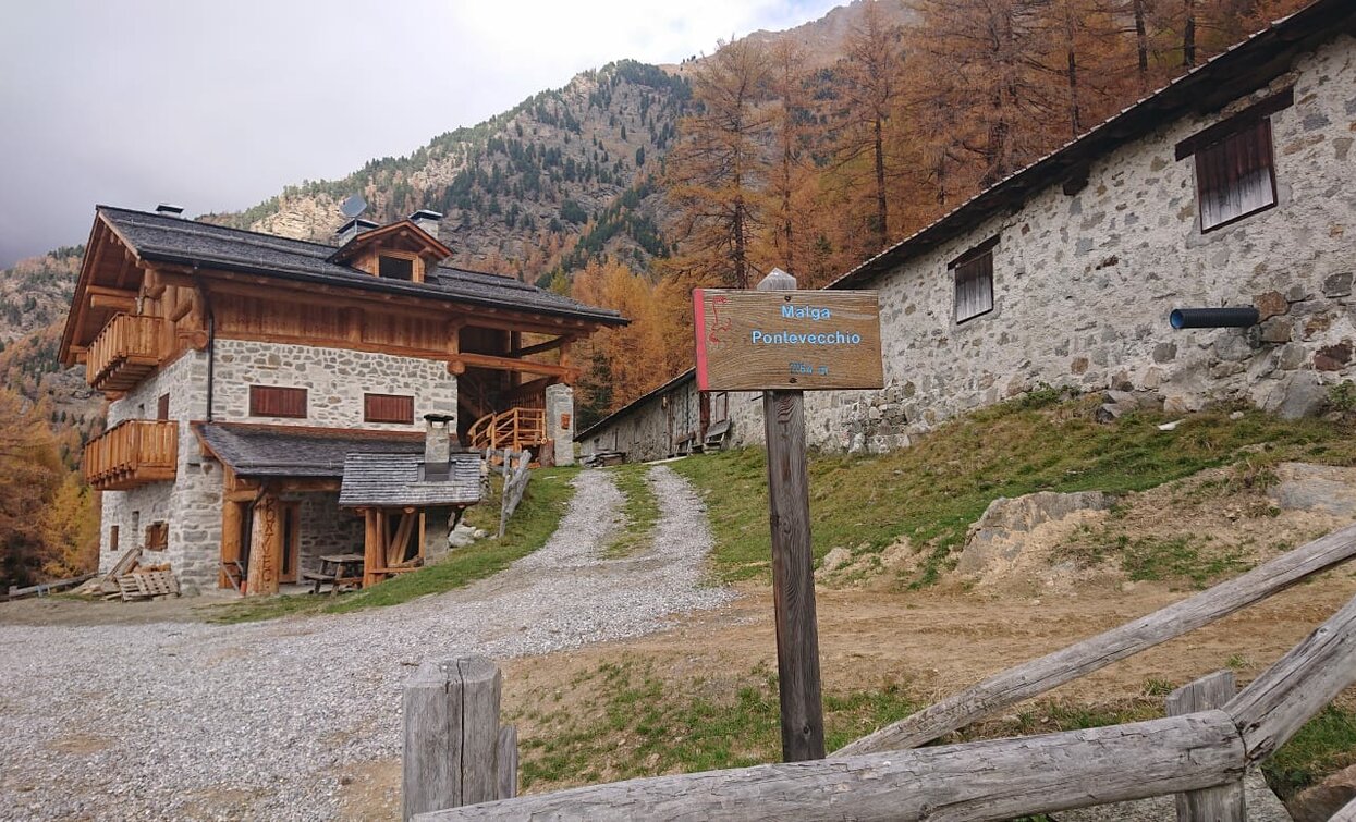 Malga Pontevecchio | © Azienda Turismo Val di Sole, APT Valli di Sole, Peio e Rabbi
